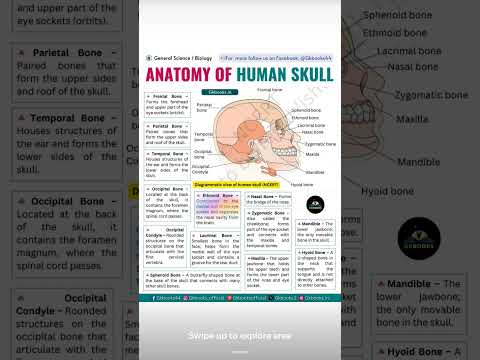 #medicalterms #anatomy #medicalstudent #medicaleducation #subscribemychannel