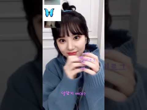 멘탈 건강한 비비지 은하