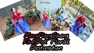 รักดอก RakDok Floral Destination กับ เมจังมึน ตรีมเกาหลี |  MengPlengSaeng เหม่งเปล่งแสง