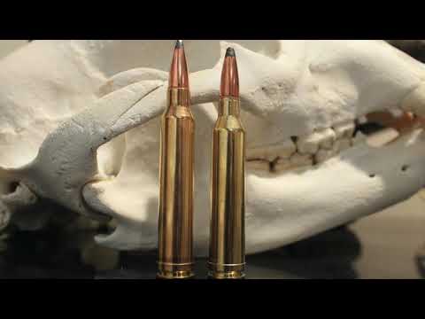 7mm Rem Mag vs 300 Win Mag: Ultimate Showdown!