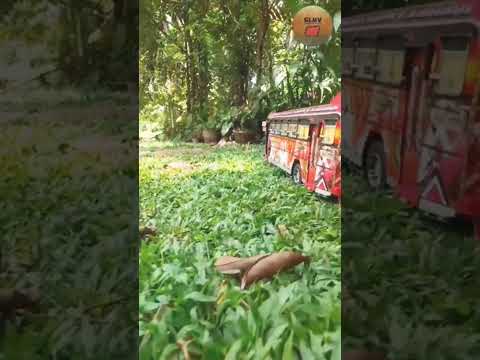 තමන් ආදරය කරනවා නම් කරන්න තමන් ආස කරපු වාහනයට