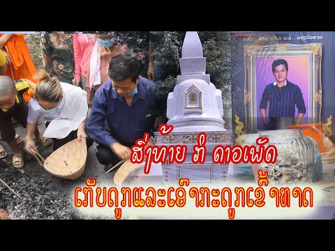 ເກັບດູກ ກິ ດາວເພັດ ຫນູຫ່ວງ ແລະເອົາດູກເຂົ້າທາດ/เกับดูก กิ ดาวเพัด หนูห่วง