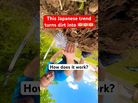 People said this Japanese trend was impossible for Americans, but I’m using it to make profit 💸 