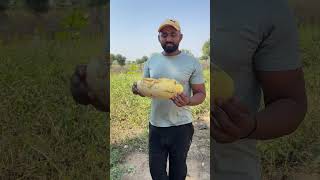 इस सीजन का सबसे बड़ा खाखड़िया 😋💔