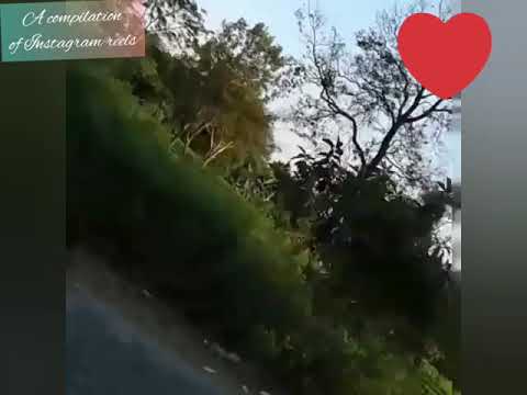 compilation of ig vms no copyright infringement music credit #youtubemusic