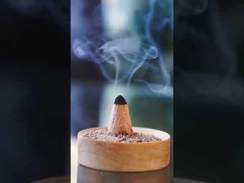 Making Incense From Sawdust & Appreciating Early November #trees #nature