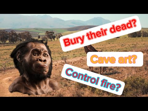 Homo Naledi - Their Unusual Anatomy and Amazing New Archeological Discoveries