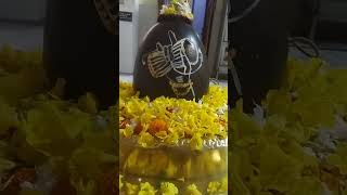 #damru #bholenath #mahadev #kartikmass #festival