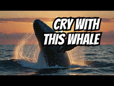 This Shy Whale Will Make You Cry With Her Beautiful Song