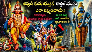 కుమార స్వామి చరిత్ర ఏమిటి.! శివుడి కుమారుడైన కార్తికేయుడు ఎలా జన్మించాడు.? | The Birth of Karthikeya