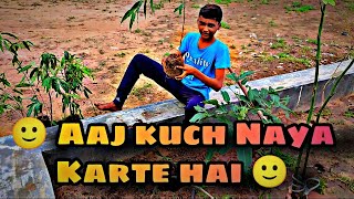 asopalav ped ki ropai