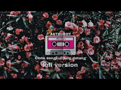 Cinta sengkunjung datang (lofi version)