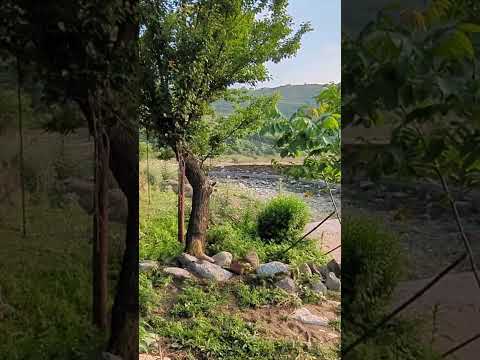 सुकून - Sukoon to Basin pahadiyon mein hi hai