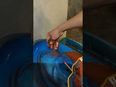 Processing concentrates through the Gold Spiral Wheel#gold #goldrush  #goldmines