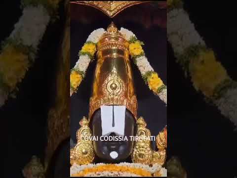 Live Darshan | Kovai Sri Tirupati Venkateswara Swamy Temple Coimbatore | Shiva Vishnu Datta