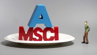 What is the MSCI?