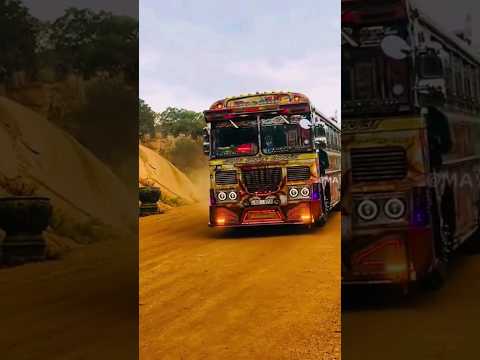 පාට හතරේ 😍😘 දෙවගන 💛💚 මෙයාට ආස අය SUBSCRIBE කරන් යමු 😍☺☺ #remix #bus #latest #love #travel #beautiful