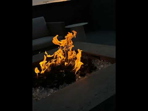 Champagne & Firewood
