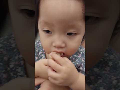 keroyokan makan hokben