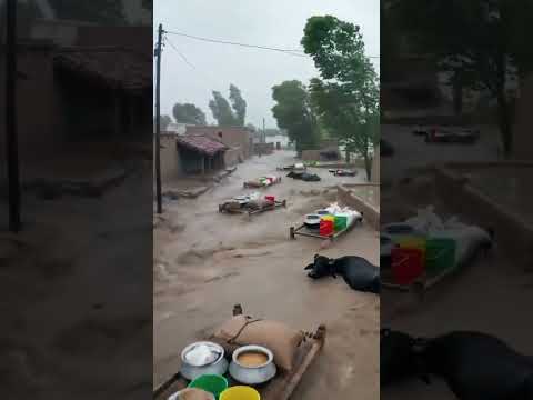everything is lose in Flood😭😭#poorpeople #seelab #raintoday #tearsforlose #youtubeshorts #plzsub