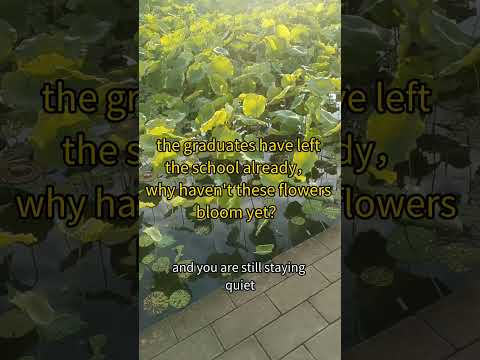 thegraduates have left the school already，why haven't these flowers bloom？ #搞笑