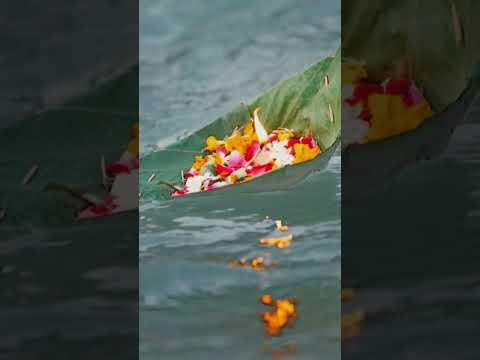 🌴🌄केरवा के पतवा पर नेवता पठवनी। #pawan singh #chhath song bhajpuri 4k short status #bhaktivideo1m 🙏🙏
