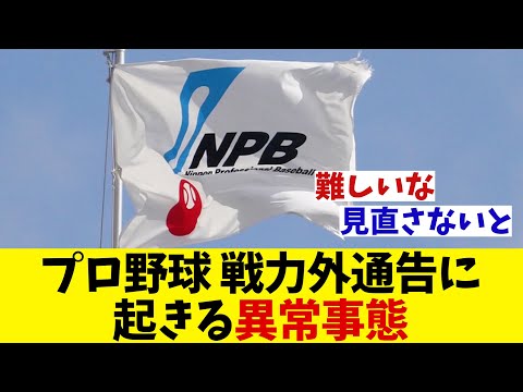 プロ野球　戦力外名簿に異常事態！？【野球情報】【2ch 5ch】【なんJ なんG反応】【野球スレ】