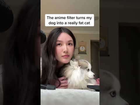 Was the second one even a cat I can’t tell #animefilter #yoasobiたぶん