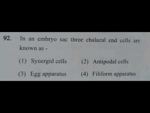 🌼 “4 marks sealed! Can you answer this NEET Bio question on Sexual Reproduction in Flowering Plants?