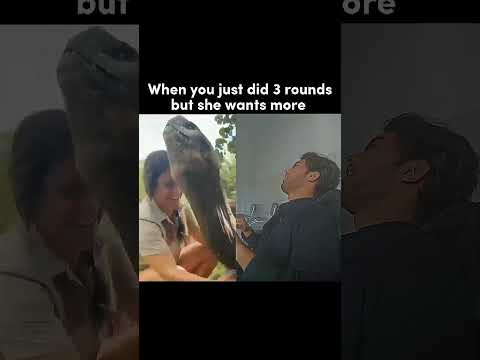 lol. #shorts #masoommemer #memes #youtubeshorts #shortvideo #viralshort #capcut