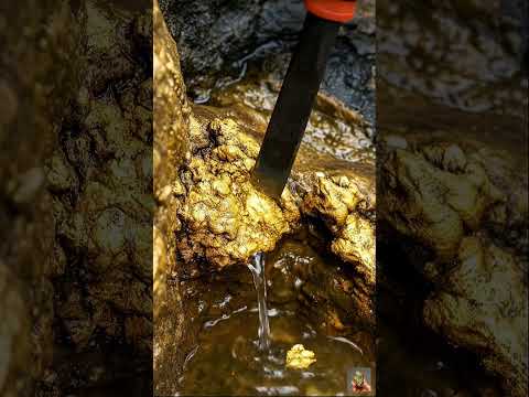 Gold Quartz 🪙😮 #GoldRush #fyp #viral #golddiscovery #quartz #treasure #explore #lifestyle #gold