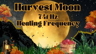 Why Is This Moon So Mysterious? ORIGINAL MUSIC-NATURE SOUNDS-Detoxify Your Body & Environment