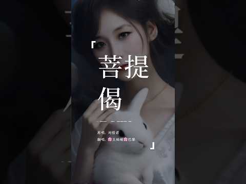 问世间转过多少流年，才会有一次擦肩。《菩提偈》#菩提偈 #翻唱中文歌#coversong #王姑娘的歌 #问世间情为何物