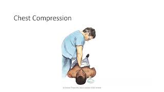 Updated BLS and ACLS  Video 2025