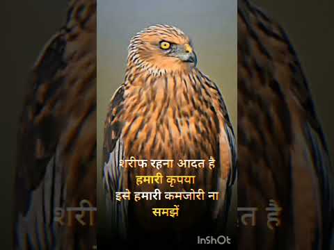 28 June 2025 #video #motivation #new #viral #song #thought #shayari Dhiraj rana ke song