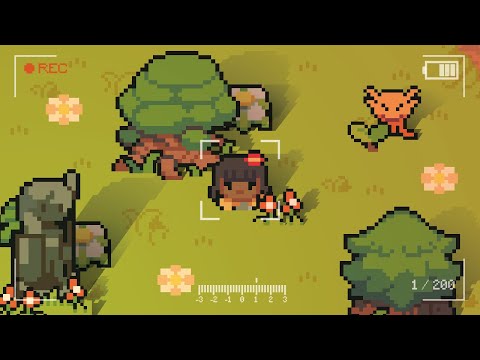 Cameras in Pygame
