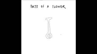 Parts of a Flower - Diagram #how #drawing #flowers #science #shorts #cbse #learning