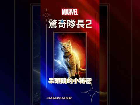 【驚奇隊長2】呆頭鵝的小秘密 #goose #marvel #呆頭鵝 #驚奇隊長#shorts