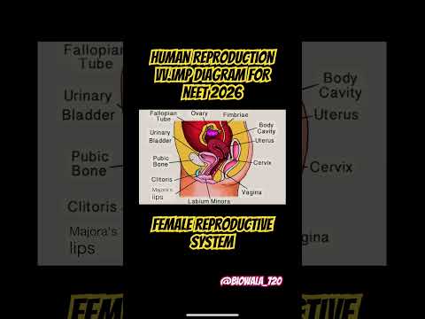 Female Reproductive System for Neet 2026 #neet #biology #biologylab #science #reproductivesystem