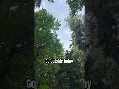 God made a pretty amazing world, go take advantage of it! #god #christianity #earth #nature #trees