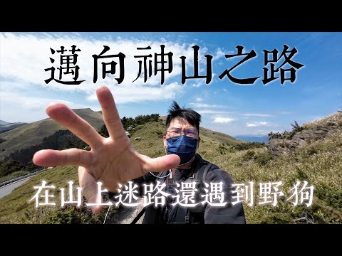 爬山廢物帶你走南投步道，合歡山步道太美了吧！邁向神山之路｜合歡山主峰、石門山、九九峰、虎山