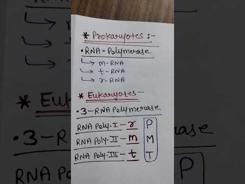 Types of RNA-polymerase enzyme #ytshorts #short #NEETTRICKSTOLEARN #neettrickstolearn #tricks