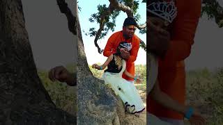 nagin maa ka badla #shorts #shortsfeed #nagin #nagin6 #mahadev