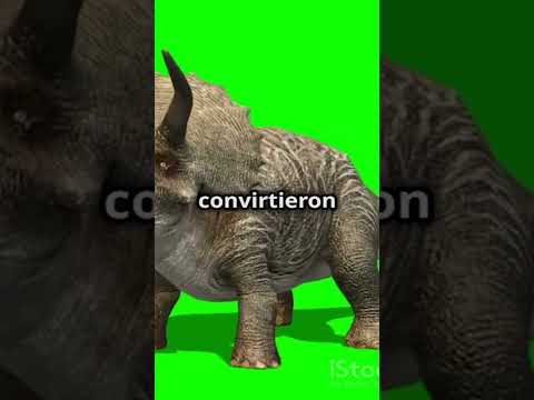 ¿QUIÉN GANARÍA? Triceratops vs Rinoceronte Blanco #batallaépica #animales #dinosaurios