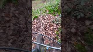 Techy bits! Techy decline riding. riding position, brake control, balance and concentration