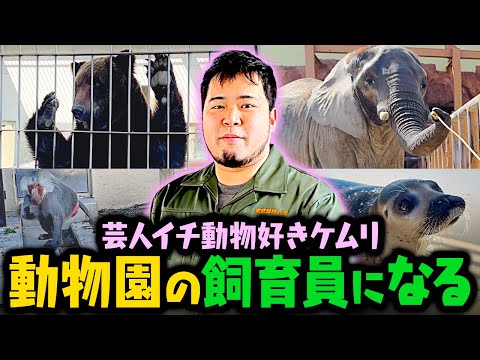 松井ケムリ、夢の動物園の飼育員になる。【令和ロマン】