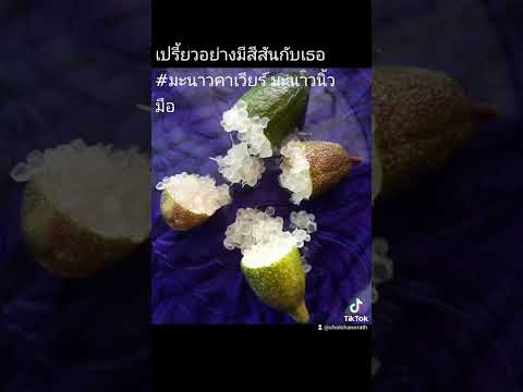 wow !! เปรี้ยวอย่างมีสีสันกับเธอ มะนาวคาเวียร์ ไม้แปลก ลองกันใหม อยากรู้จักมาดูกันจ้า