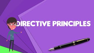 What is Directive Principles?, Explain Directive Principles, Define Directive Principles