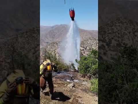 Fire In Los Angeles 🚒🔥| #wildlandfire #wildlandfirefighter #la #losangeles #california