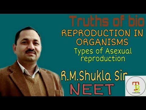 Types of Asexual Reproduction, Reproduction in organisms. NEET, BY:R.M.Shukla Sir